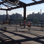 attività canina nell'east river