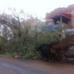 The power of Sandy